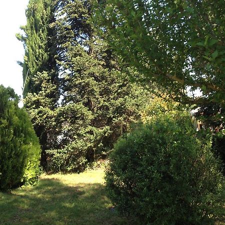 Il Belvedere Di Roccavo Villa Castiglion Fiorentino Eksteriør bilde