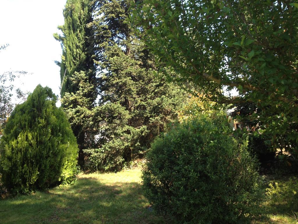 Il Belvedere Di Roccavo Villa Castiglion Fiorentino Eksteriør bilde